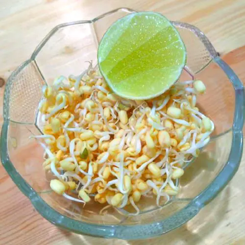 Jeruk Nipis Dan Toge